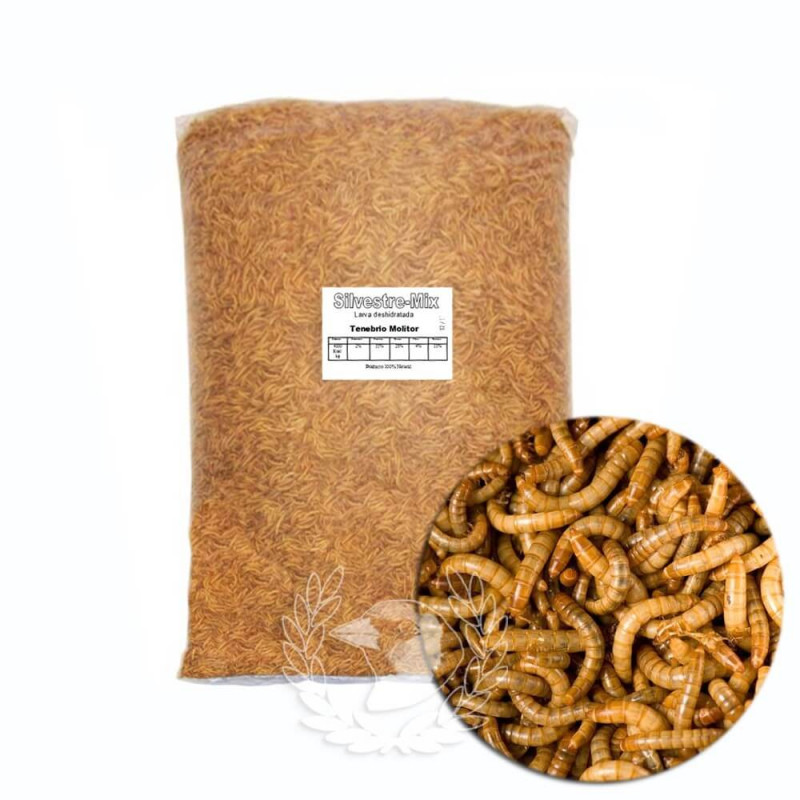 BusyBeaks Gusanos De Harina Secos - Alimento Para Aves Silvestres, Rico En Proteínas, Ideal Para Jardín