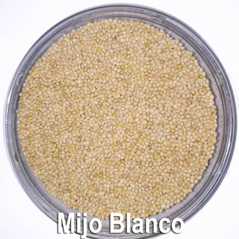 Mijo Blanco