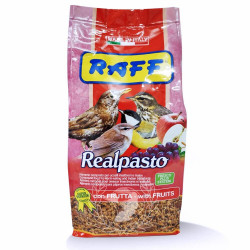 Raff Realpasto 1kg pasta para insectívoros con fruta