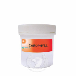 CAROPHYLL - CAROFIL ROJO
