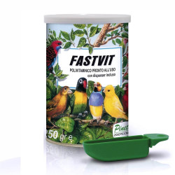 FastVit PINETA