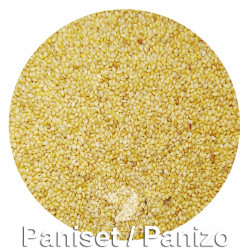 Paniset / Panizo