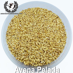 Avena Pelada