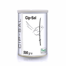 Cip Sal Pineta 500g