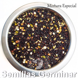 Semillas para Germinar