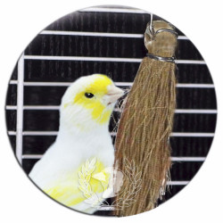 Accesorios para la de Jilgueros, Exóticos ...