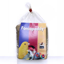 FonioPaddy Semilla...