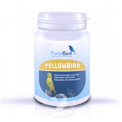 Yellowbird Pigmentación...