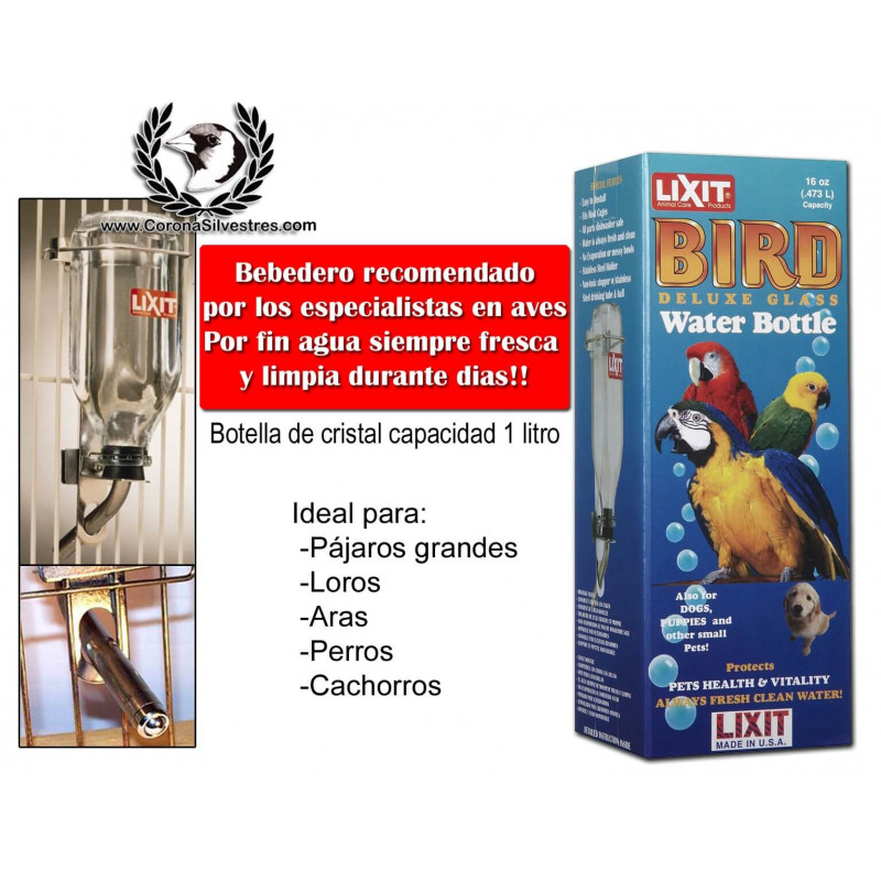 Bebedero de Cristal Lixit 1 litro Bebedero de Cristal Lixit 1 litro