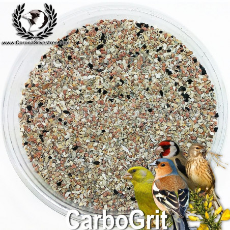 CarboGrit : Grit - Carbón - Arcilla 