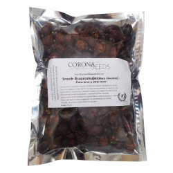 Escaramujos (Rosa...