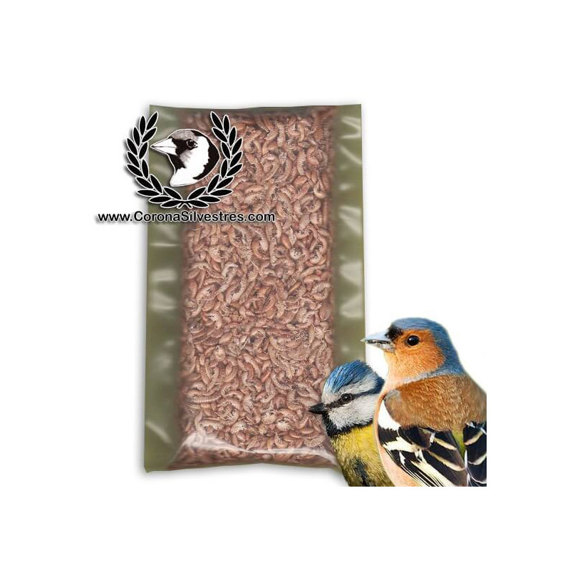 Gammarus bolsa de 250 ml Gammarus bolsa de 250 ml