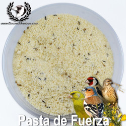 Pasta de Fuerza