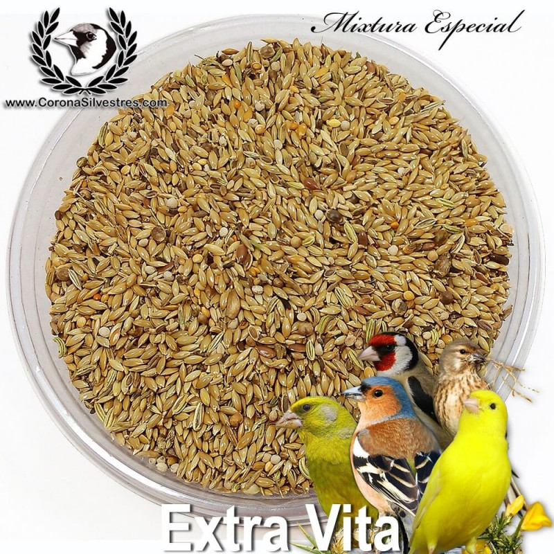 Mixtura Extra Vita Mixtura Extra Vita