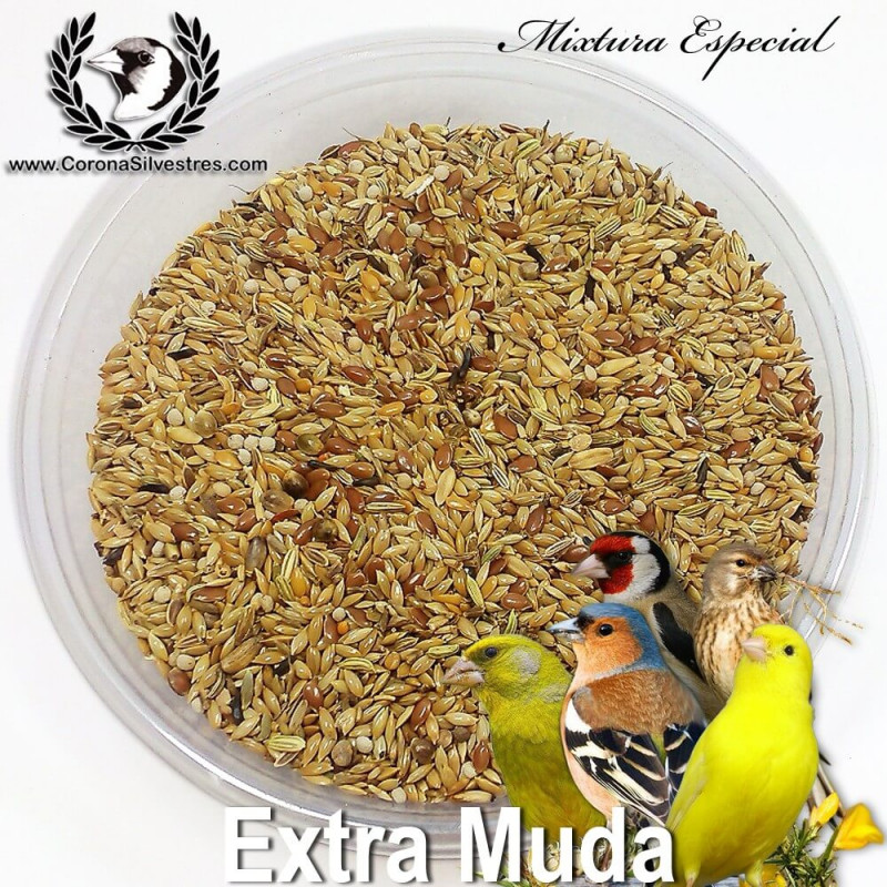 Mixtura Extra Muda Mixtura Extra Muda