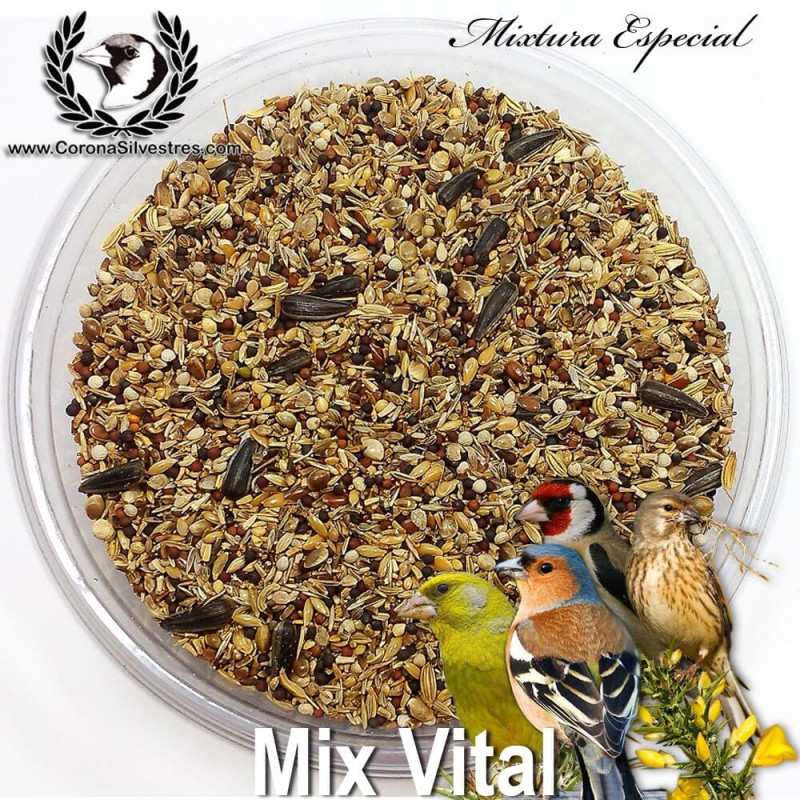 Mix Vital