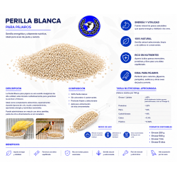 Perilla blanca para canarios