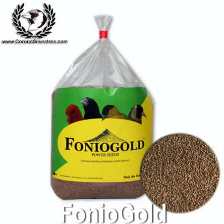 FonioGold