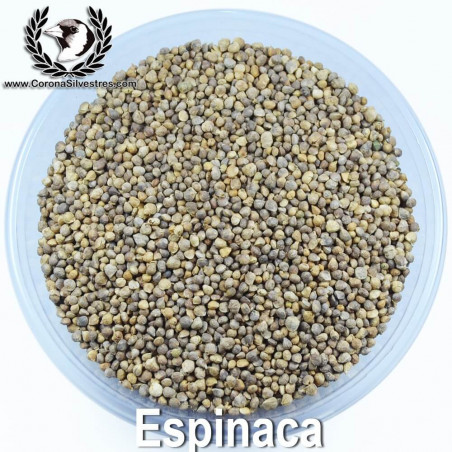 Espinaca