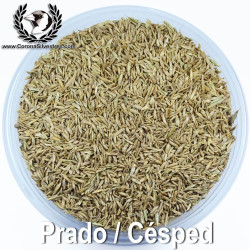 Prado / Césped