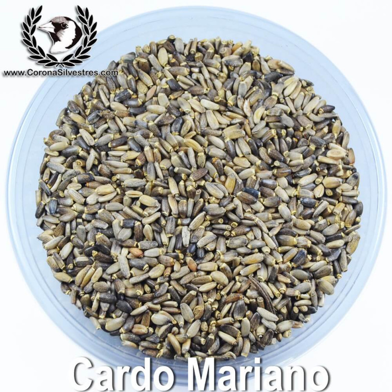 CARDO MARIANO SEMILLAS BOLSA