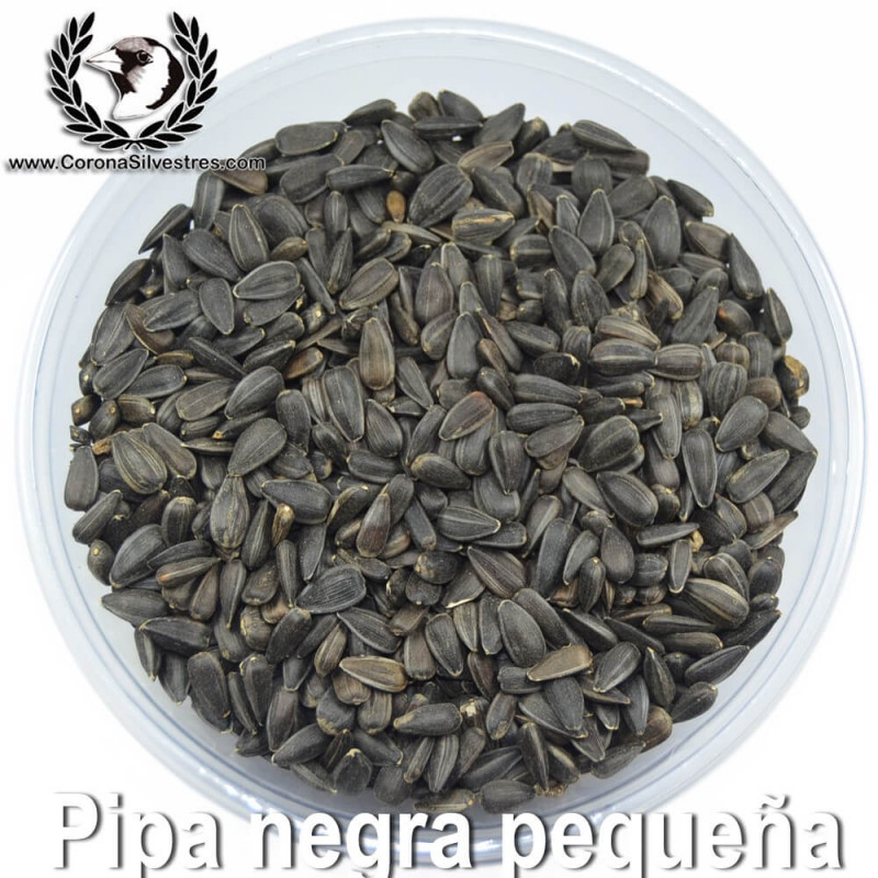Pipa negra pequeña Pipa negra pequeña