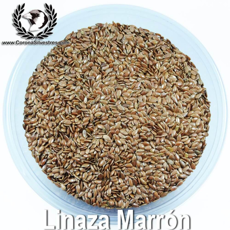 Linaza Marrón