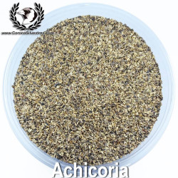 Achicoria