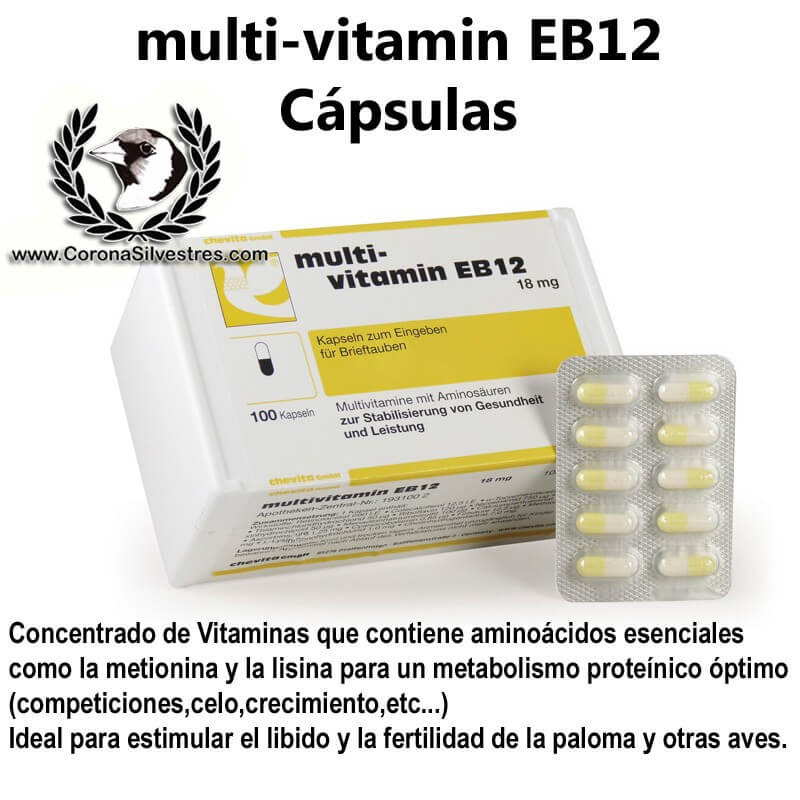 Chevita multivitamin EB12 Cápsulas