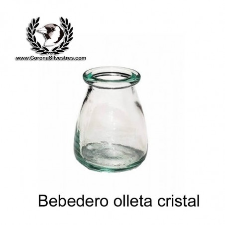 Bebedero Olleta Cristal