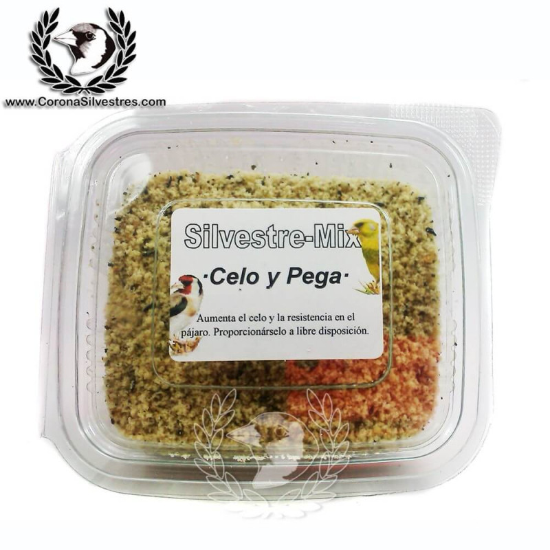 Pasta Celo y Pega