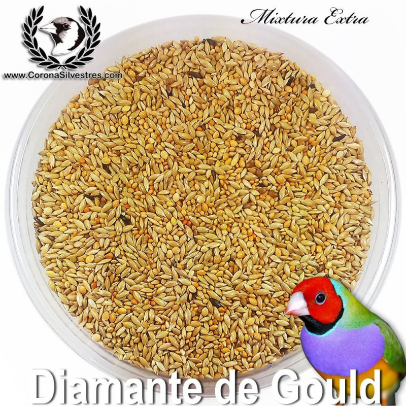 Mixtura Extra para Diamantes de Gould