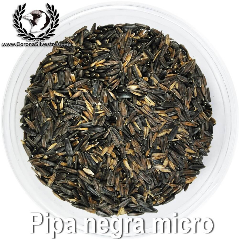 Pipa negra micro