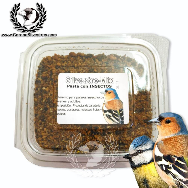 Pasta con INSECTOS 250g Pasta con INSECTOS 250g