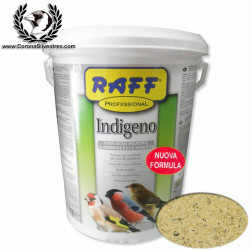 Raff Professional PASTA INDIGENO 2 kg