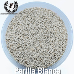 Perilla Blanca