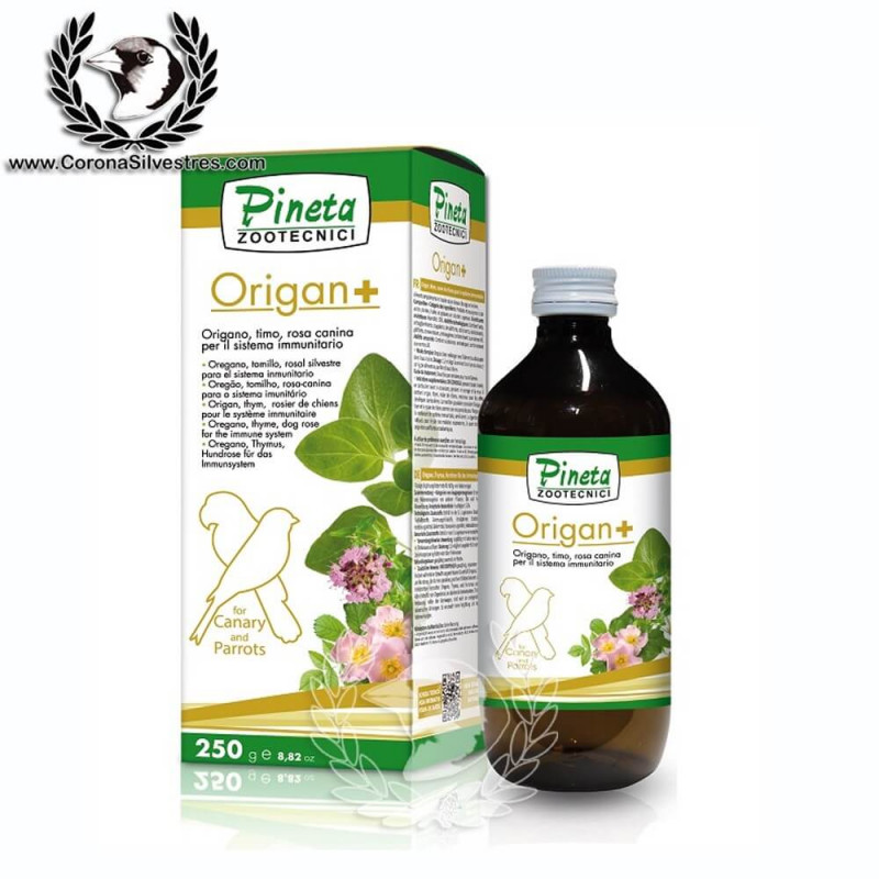 Pineta ORIGAN + Liquido