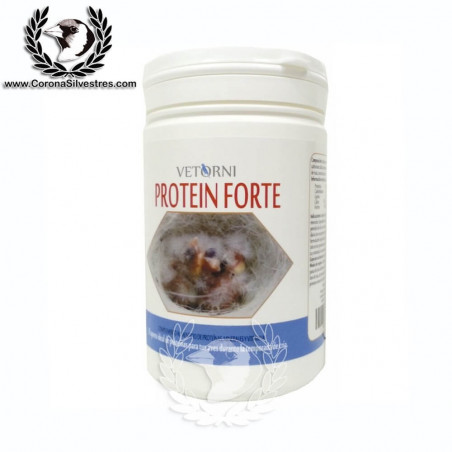 PROTEIN FORTE