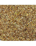 Mixtura Comida para Pájaros de Canto la alimentación mas adecuada