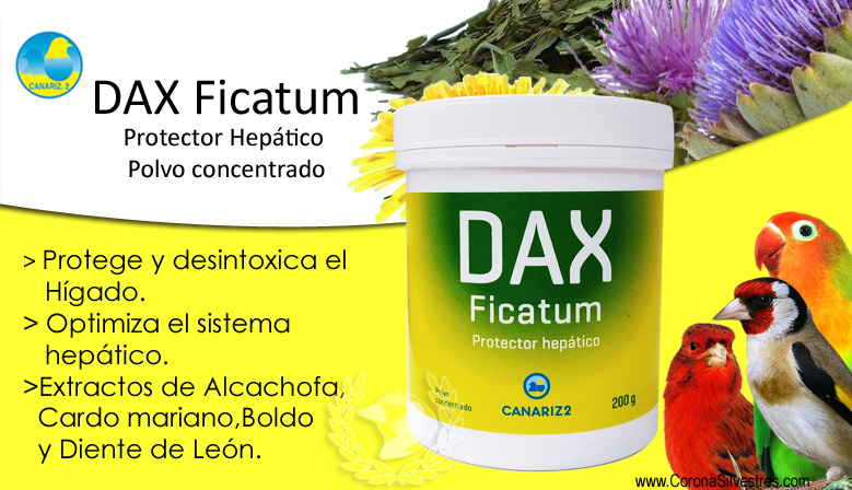 DAX Ficatum Protector Hepático