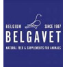 BelgaVet