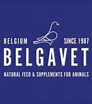 BelgaVet