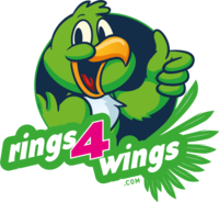 Rings4Wings